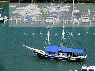 信用卡逾期跑滴滴可以审核吗
