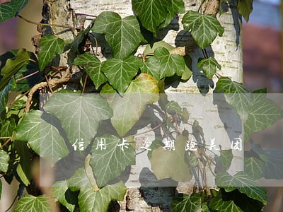 信用卡逾期跑美团