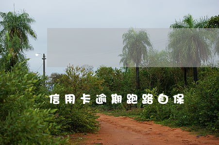 信用卡逾期跑路自保 信用卡逾期跑路自保