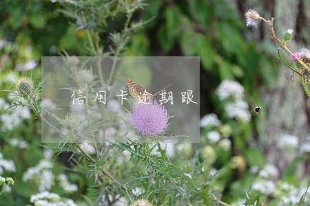信用卡逾期跟 信用卡逾期跟