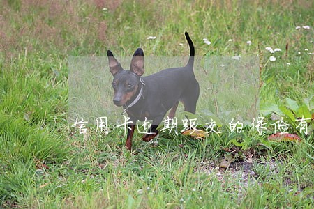 信用卡逾期跟交的保险有关系吗 信用卡逾期跟交的保险有关系吗