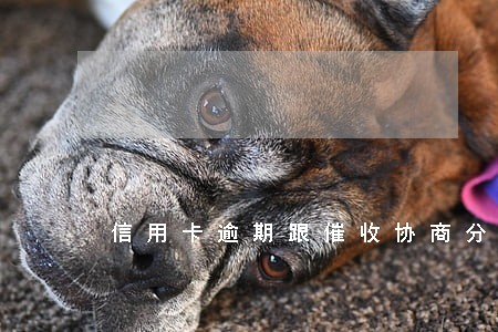 信用卡逾期跟催收协商分期办理 信用卡逾期跟催收协商分期办理