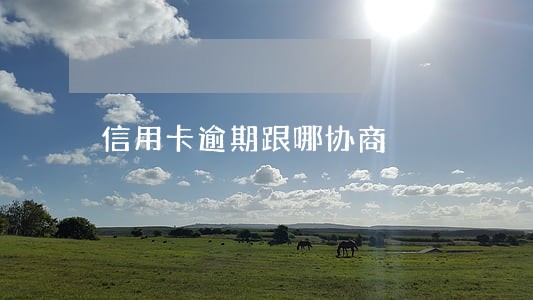 信用卡逾期跟哪协商 信用卡逾期跟哪协商