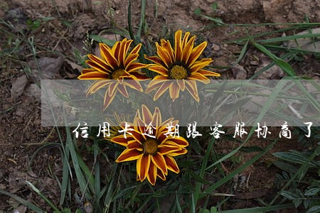 信用卡逾期跟客服协商了 信用卡逾期跟客服协商了