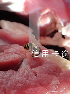 信用卡逾期跟客服协商分期