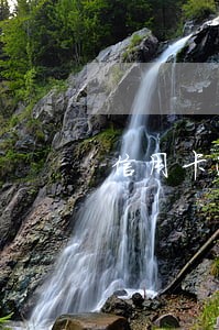 信用卡逾期跟客服约定时间