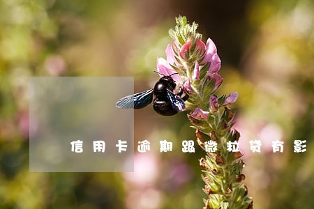 信用卡逾期跟微粒贷有影响吗
