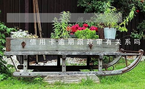信用卡逾期跟政审有关系吗 信用卡逾期跟政审有关系吗