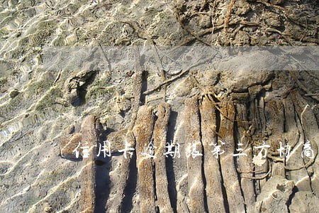 信用卡逾期跟第三方协商