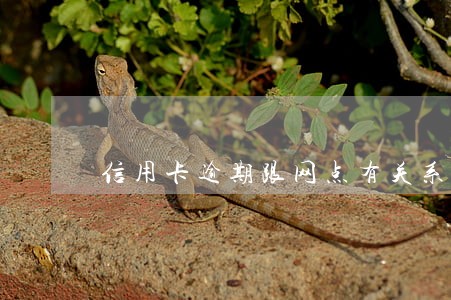 信用卡逾期跟网点有关系吗 信用卡逾期跟网点有关系吗