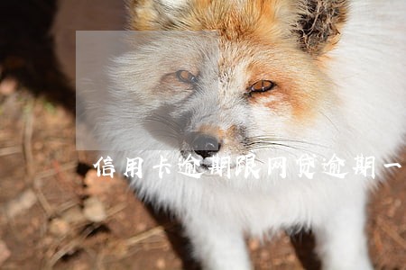 信用卡逾期跟网贷逾期一样么 信用卡逾期跟网贷逾期一样么