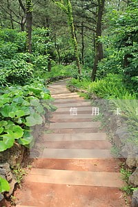信用卡逾期跟谁协商分期好 信用卡逾期跟谁协商分期好