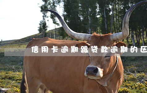 信用卡逾期跟贷款逾期的区别