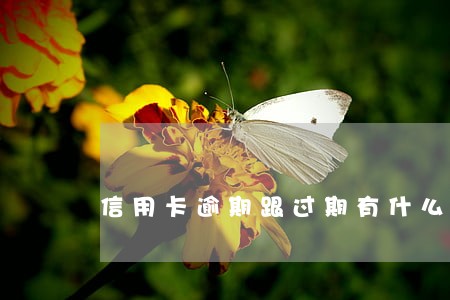 信用卡逾期跟过期有什么区别 信用卡逾期跟过期有什么区别