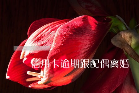 信用卡逾期跟配偶离婚