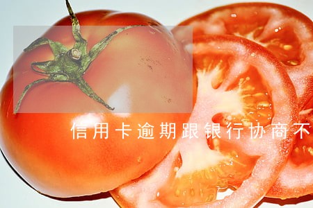信用卡逾期跟银行协商不了怎么办