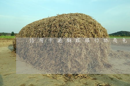 信用卡逾期跟银行协商免息挂账 信用卡逾期跟银行协商免息挂账
