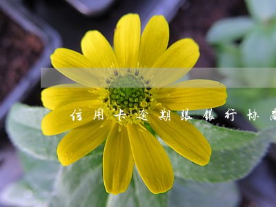 信用卡逾期跟银行协商减免利息 信用卡逾期跟银行协商减免利息