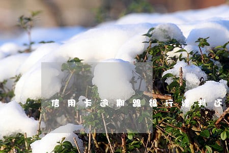 信用卡逾期跟银行谈判还钱 信用卡逾期跟银行谈判还钱