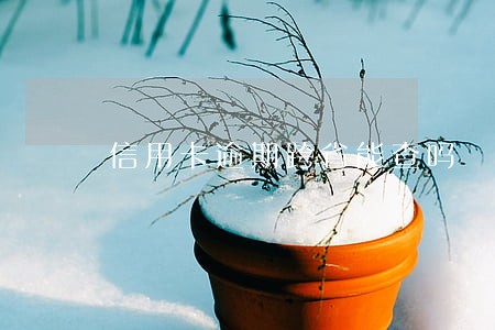 信用卡逾期跨省能查吗 信用卡逾期跨省能查吗
