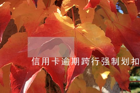 信用卡逾期跨行强制划扣 信用卡逾期跨行强制划扣
