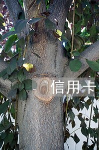 信用卡逾期跳票电话再也打不通