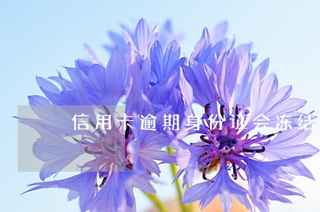 信用卡逾期身份证会冻结吗