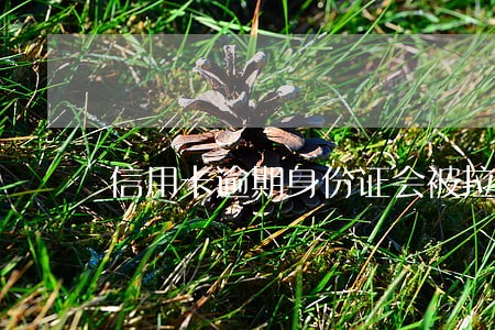 信用卡逾期身份证会被拉黑吗 信用卡逾期身份证会被拉黑吗