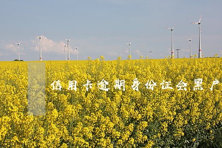 信用卡逾期身份证会黑户