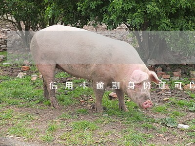 信用卡逾期身份证可以重新办理吗 信用卡逾期身份证可以重新办理吗