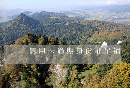 信用卡逾期身份证吊销 信用卡逾期身份证吊销
