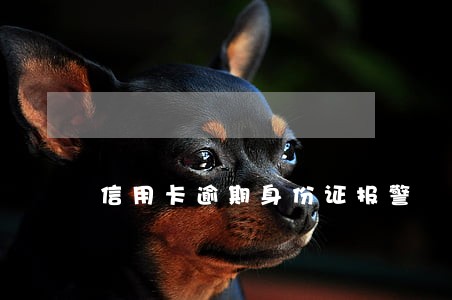 信用卡逾期身份证报警 信用卡逾期身份证报警