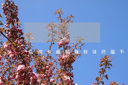 信用卡逾期身份证还能不能用 信用卡逾期身份证还能不能用