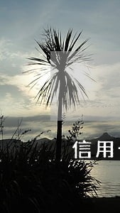信用卡逾期躲起来 信用卡逾期躲起来