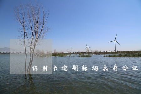 信用卡逾期躲起来身份证 信用卡逾期躲起来身份证