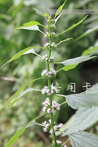 信用卡逾期躲避