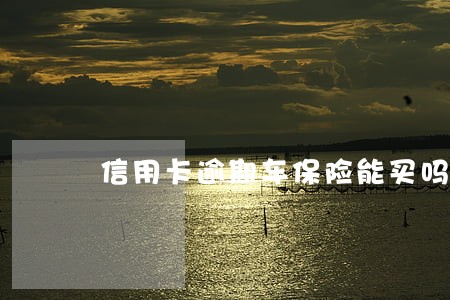 信用卡逾期车保险能买吗 信用卡逾期车保险能买吗