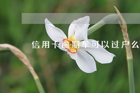 信用卡逾期车可以过户么 信用卡逾期车可以过户么
