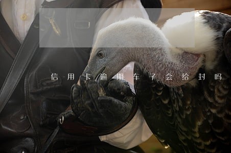信用卡逾期车子会给封吗 信用卡逾期车子会给封吗