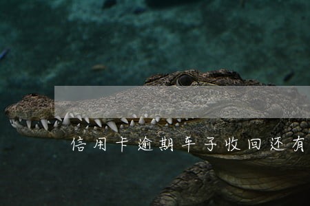 信用卡逾期车子收回还有更糟的吗 信用卡逾期车子收回还有更糟的吗