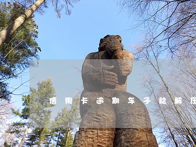 信用卡逾期车子能解压吗 信用卡逾期车子能解压吗