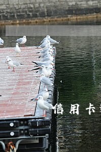 信用卡逾期车贷逾期怎么办 信用卡逾期车贷逾期怎么办