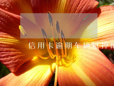 信用卡逾期车辆抵押能抵押吗 信用卡逾期车辆抵押能抵押吗