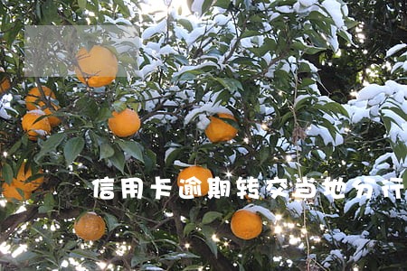 信用卡逾期转交当地分行 信用卡逾期转交当地分行