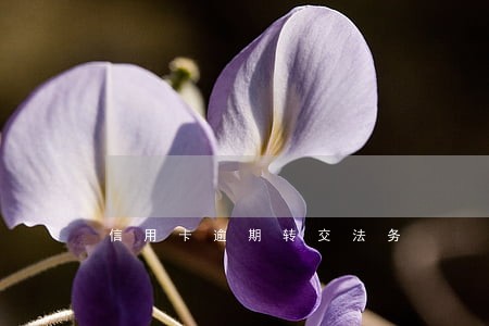 信用卡逾期转交法务 信用卡逾期转交法务