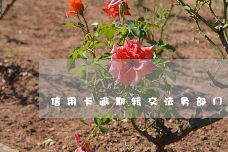 信用卡逾期转交法务部门 信用卡逾期转交法务部门