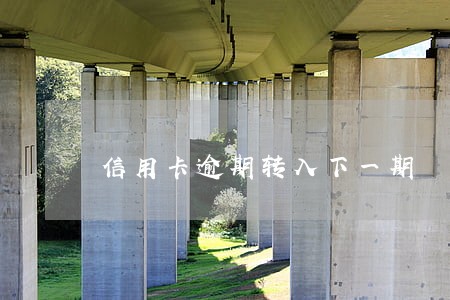 信用卡逾期转入下一期 信用卡逾期转入下一期
