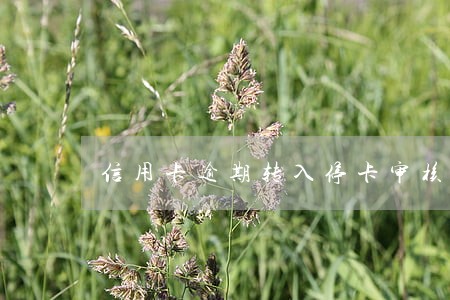 信用卡逾期转入停卡审核部 信用卡逾期转入停卡审核部