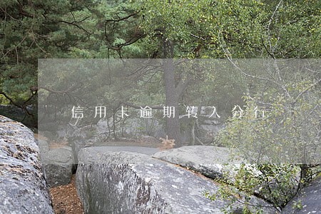 信用卡逾期转入分行 信用卡逾期转入分行