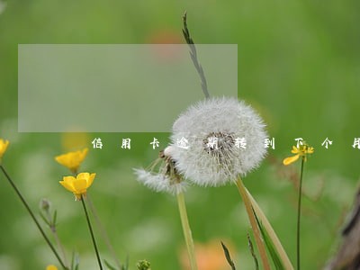 信用卡逾期转到下个月 信用卡逾期转到下个月